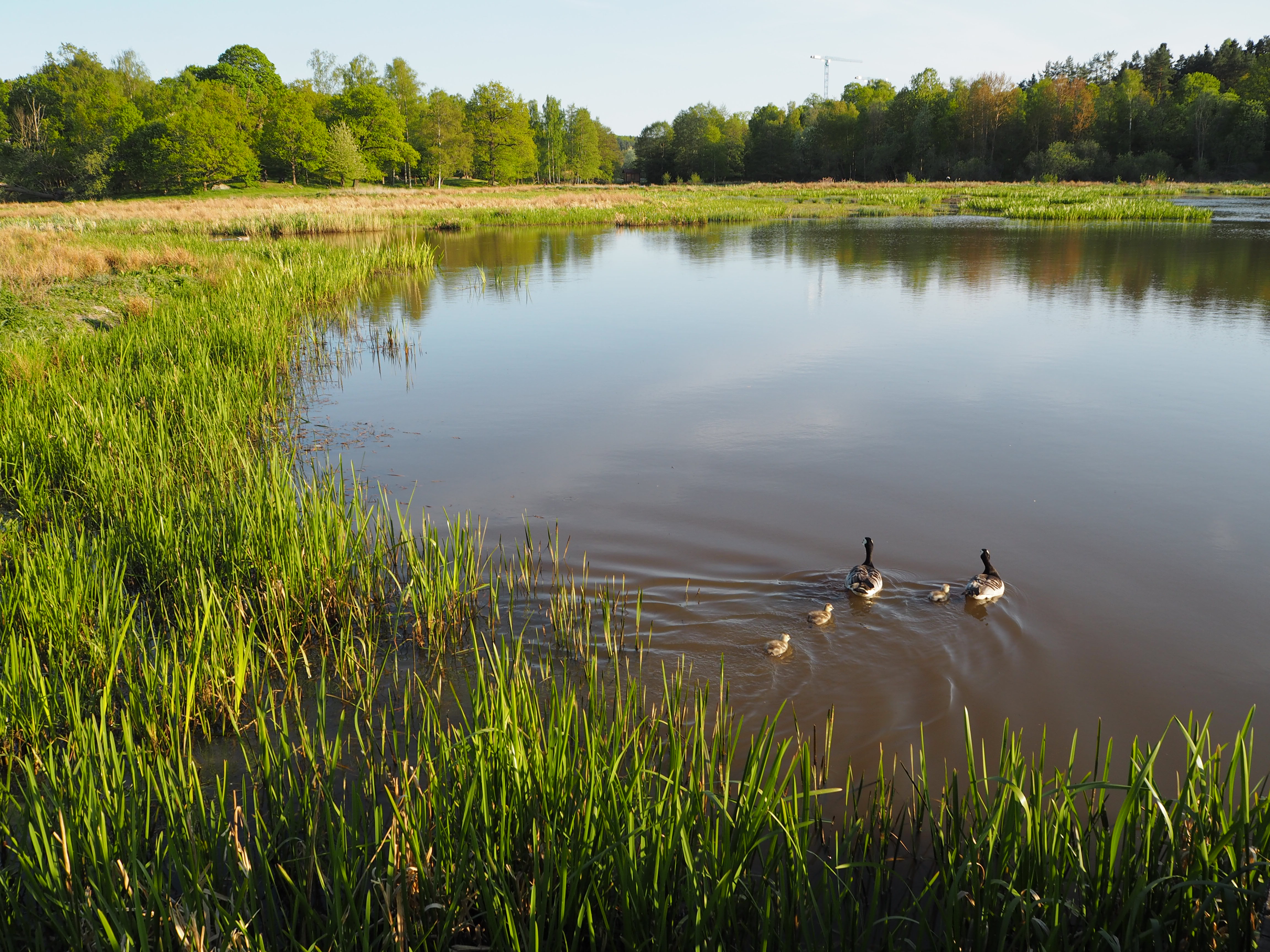 Happy World Water Day! This year's theme: Why waste water? Our sustainable sanitation initiative aims to bring innovation to waste water cha...