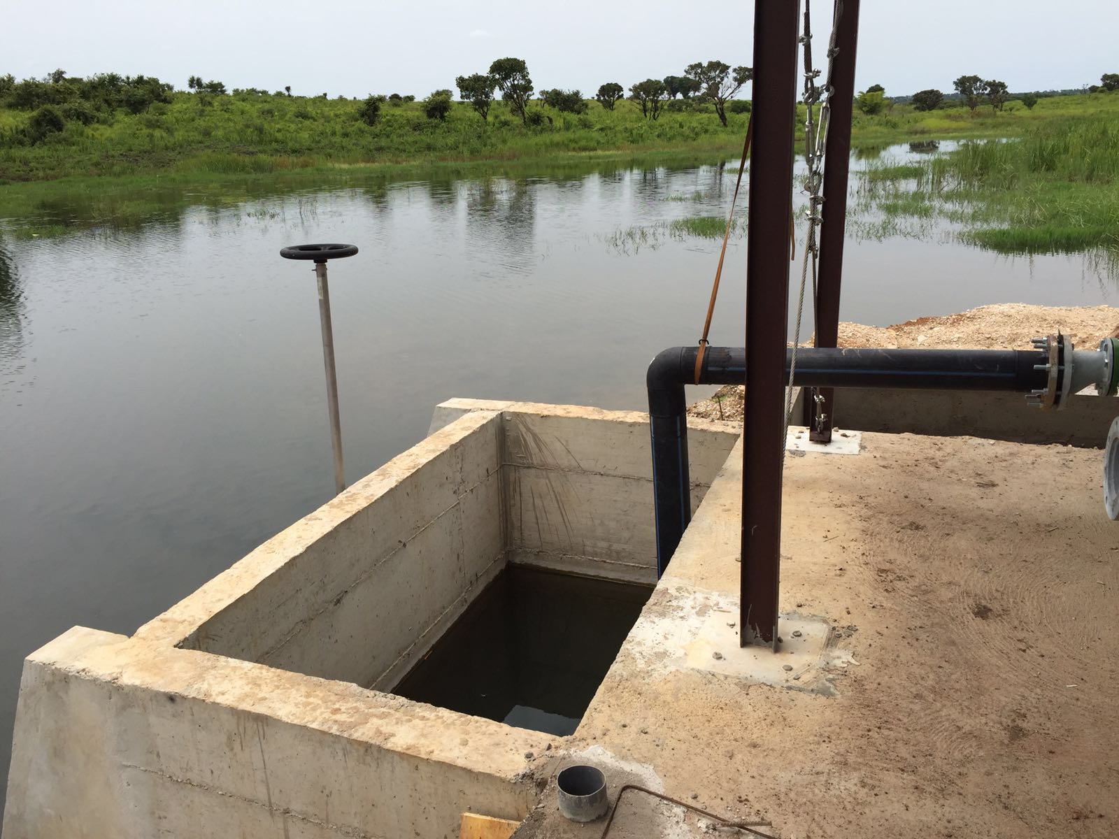 Angola waterplant