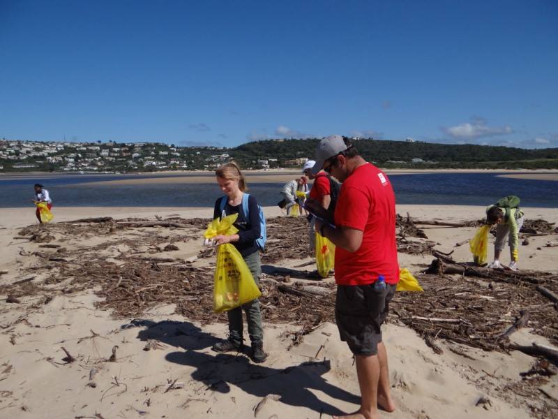 Cleanups In South Africa