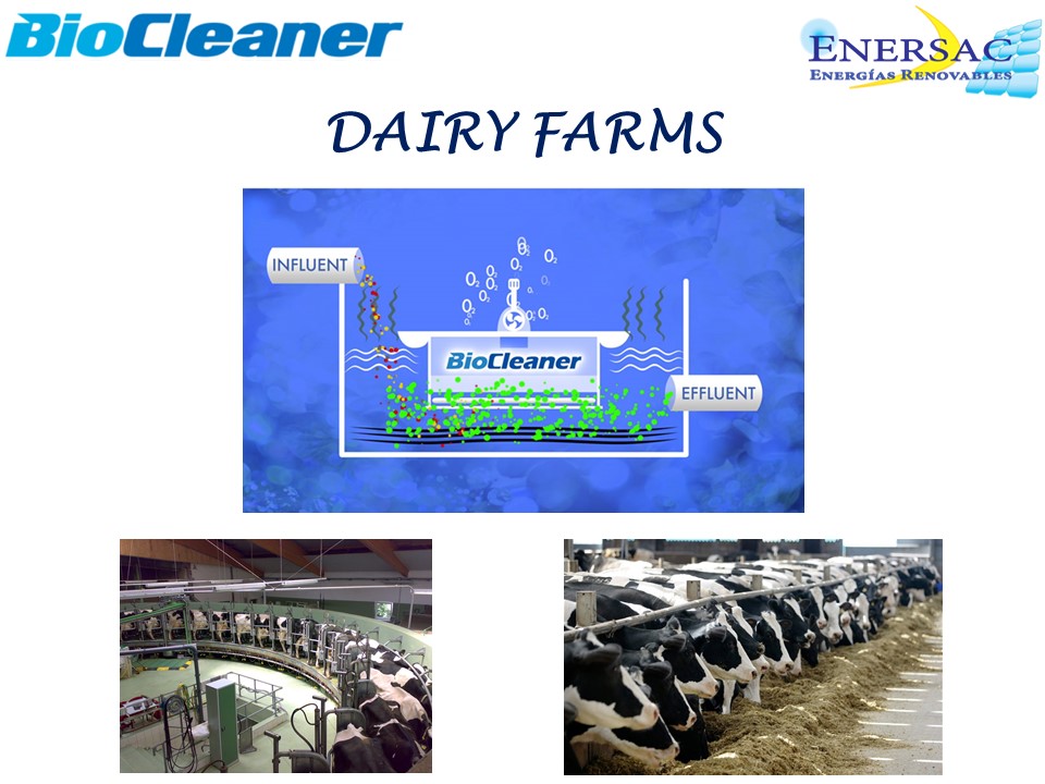 BIOCLENAER - DAIRY INDUSTRY