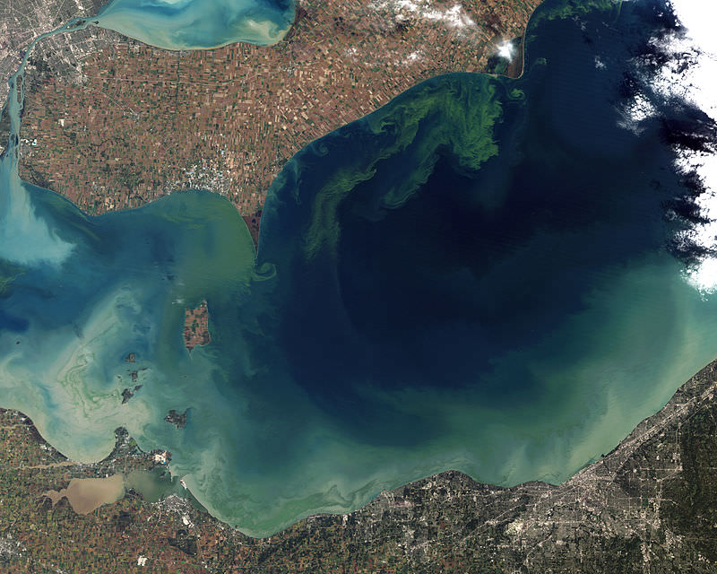 How Accumulated Fertilizers Cause Water Problems Decades Later