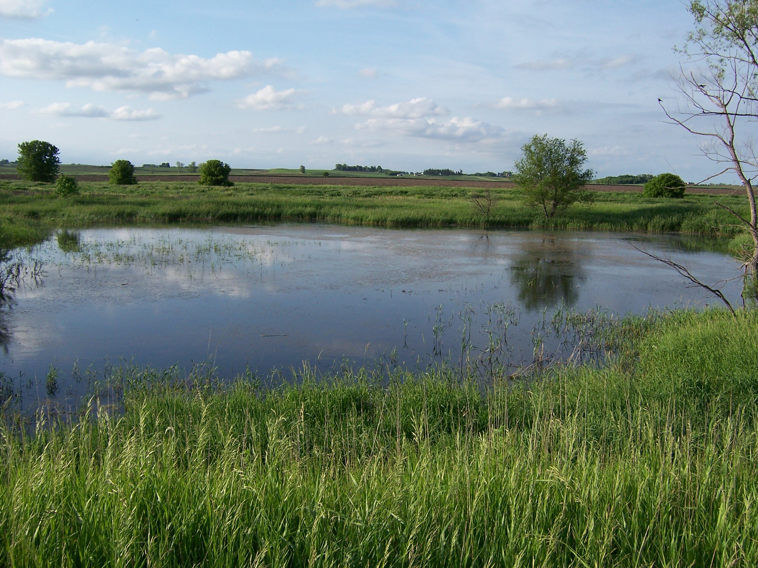 $720 million to 84 US conservation projects