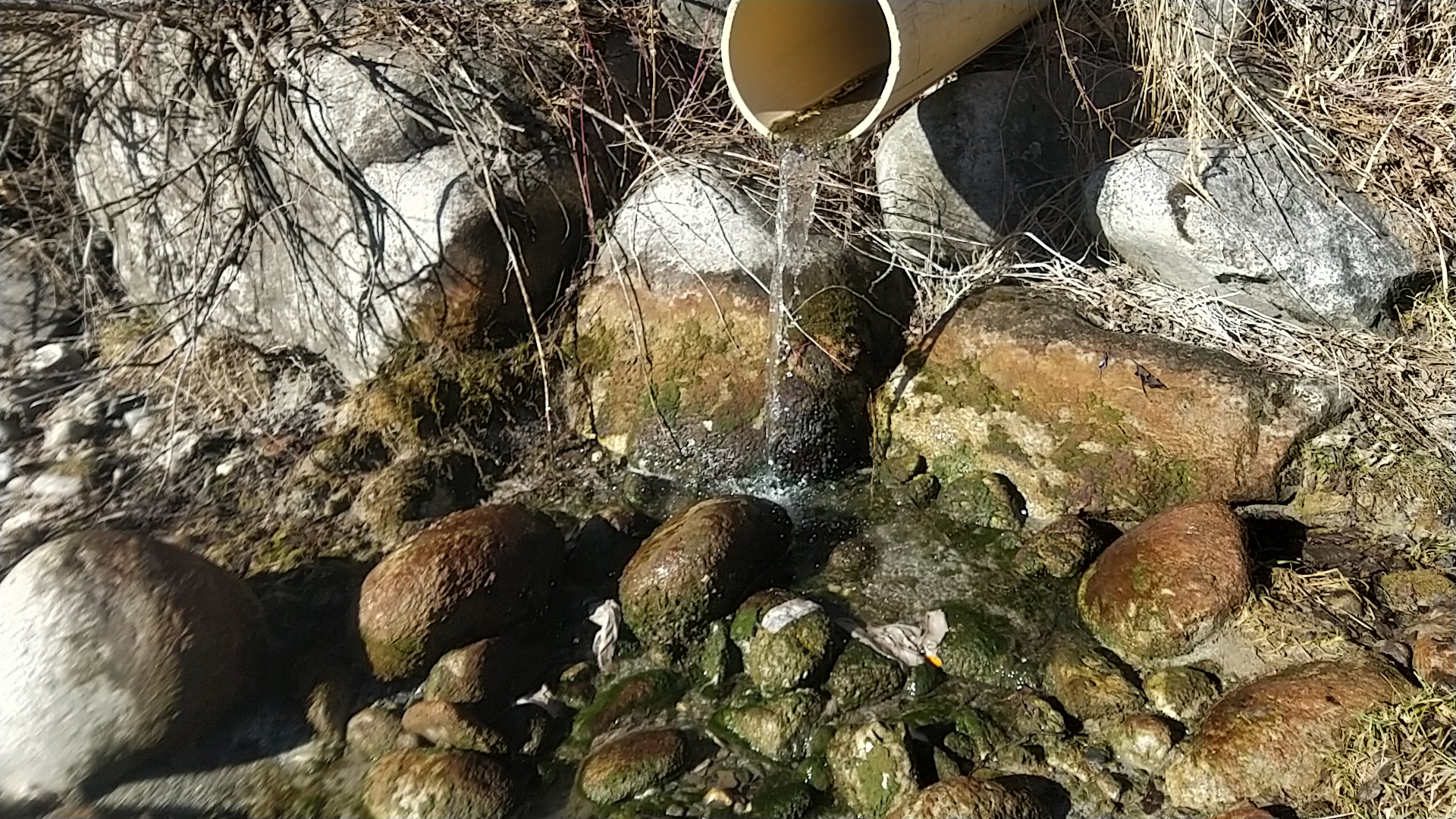 Expertise of rivers: environnement