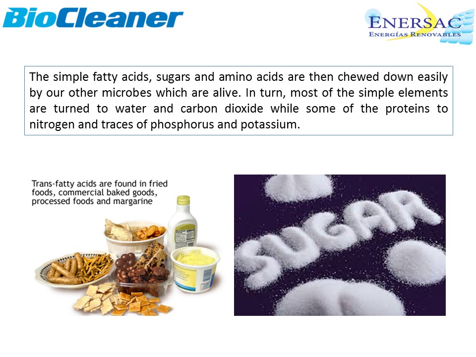 BIOCLENAER - DAIRY INDUSTRY