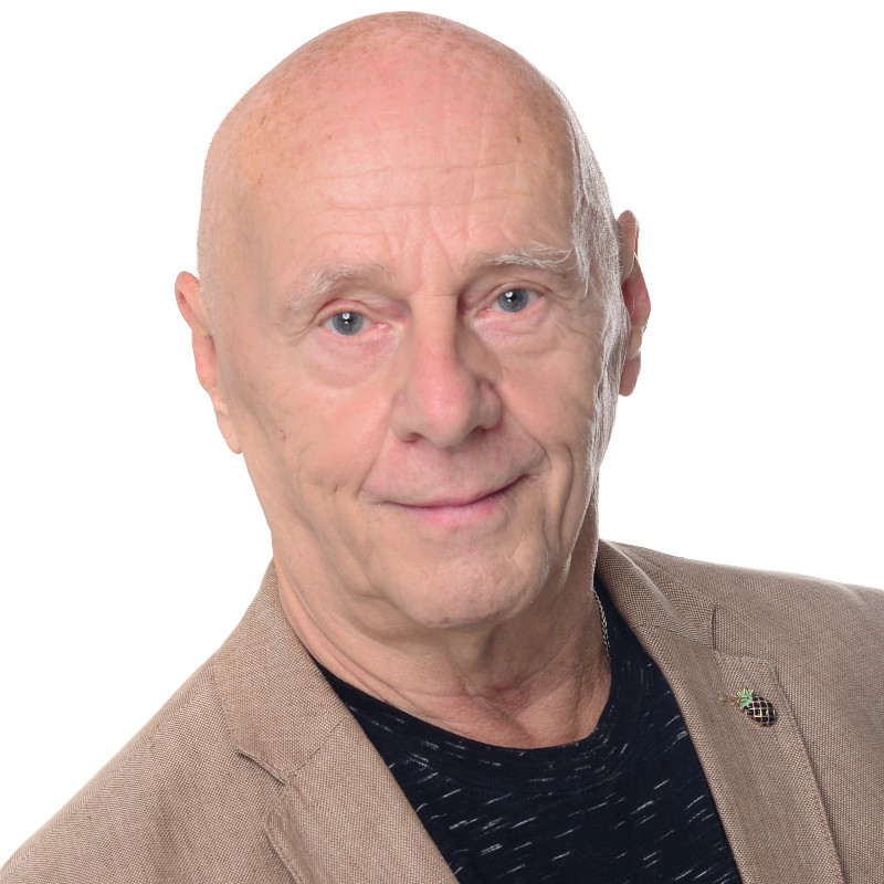 Manfred  Steidel, Freelance Consultant 