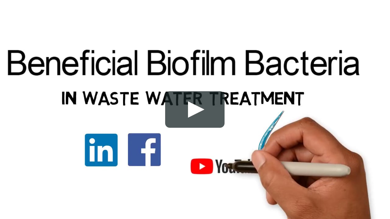 Beneficial Biofilm Bacteria - Wastewater Treatment (Video Tutorial)